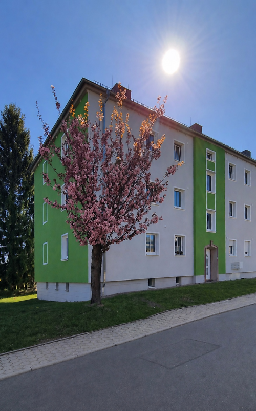 https://wg-schleiz.bx2.batix.net/pic/19DDDAEF831.png